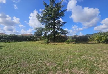 52705435  – Terrain à PARENTIS EN BORN