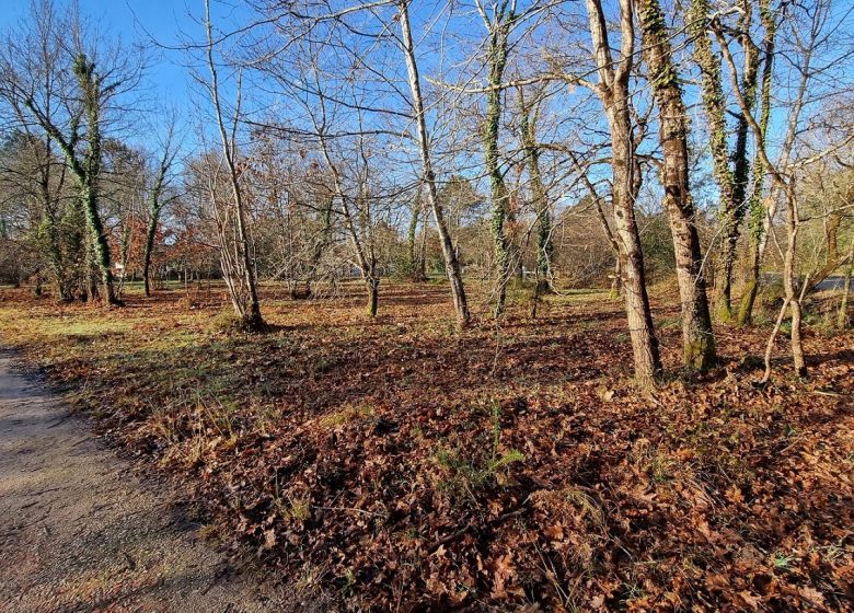52863327  – Terrain à MEZOS