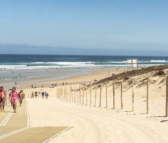 Les Landes en septembre : quand la vie locale reprend ses droits