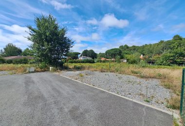 52646356  – Terrain à LEON