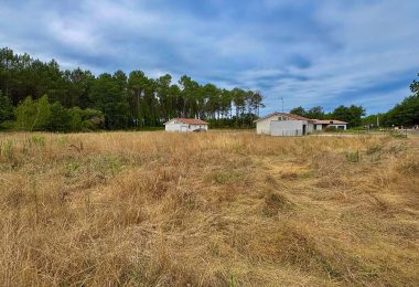 53138556  – Terrain à RION DES LANDES