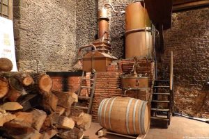 « Chai ouvert ! » au Domaine d&rsquo;Ognoas