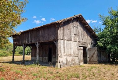 53141441  – Maison – 4 pièces à RION DES LANDES