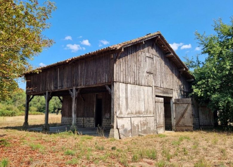 53141441  – Maison – 4 pièces à RION DES LANDES