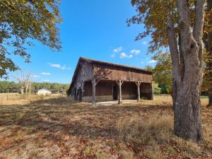 53141441  – Maison – 4 pièces à RION DES LANDES