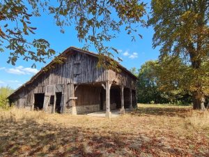 53141441  – Maison – 4 pièces à RION DES LANDES