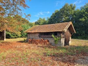53141441  – Maison – 4 pièces à RION DES LANDES