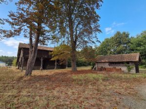 53141441  – Maison – 4 pièces à RION DES LANDES