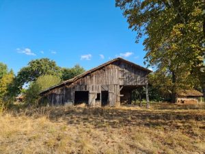 53141441  – Maison – 4 pièces à RION DES LANDES