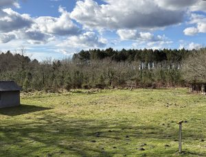 52884745  – Maison – 6 pièces à RION DES LANDES
