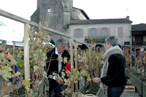 Armagnac en fête