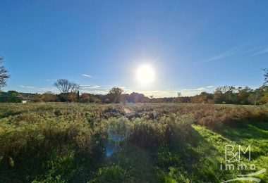 52782206  – Terrain à ST MICHEL ESCALUS