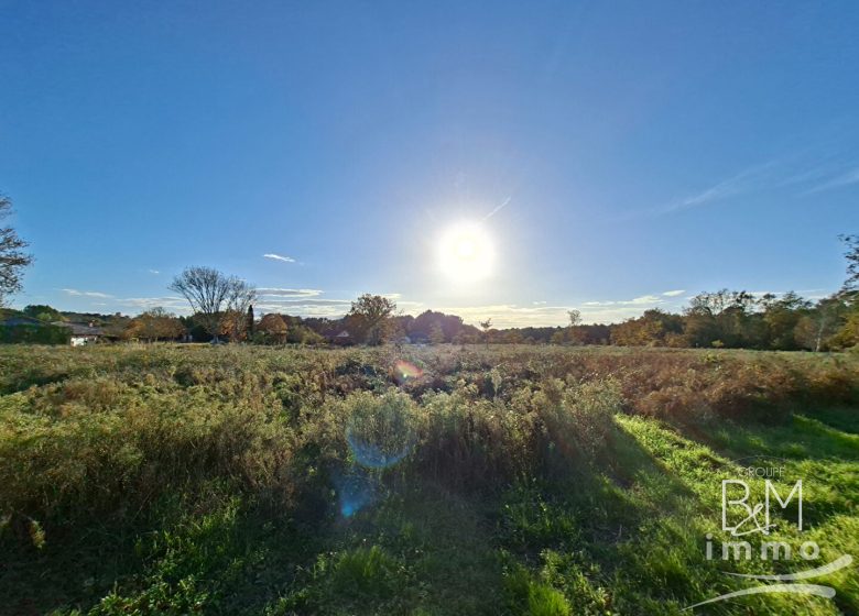 52782206  – Terrain à ST MICHEL ESCALUS