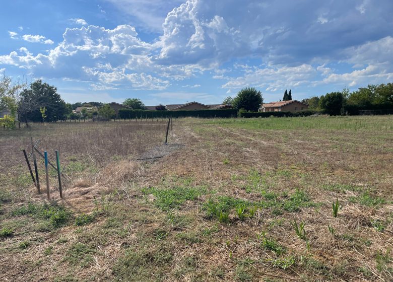 53150009  – Terrain à VILLENEUVE DE MARSAN