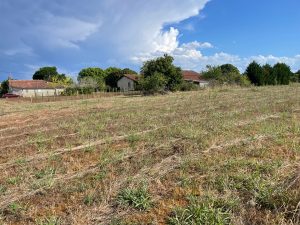 53150009  – Terrain à VILLENEUVE DE MARSAN