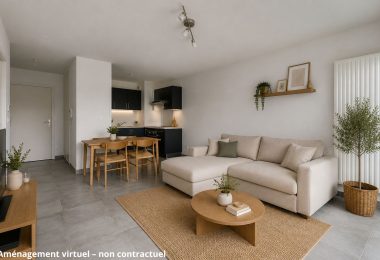 53151589  – Appartement – 2 pièces à BENESSE MAREMNE