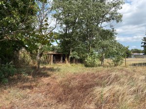 53151496  – Maison – 3 pièces à TARTAS