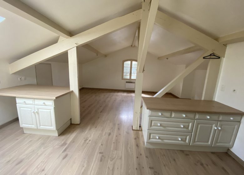 53151100  – Appartement – 1 pièces à ST SEVER