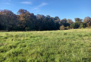 52273945  – Terrain à HAGETMAU