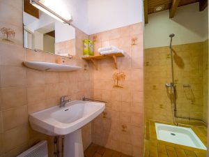 52994996  – Maison – 2 pièces à EUGENIE LES BAINS