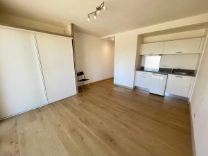 53151884  – Appartement – 1 pièces à DAX