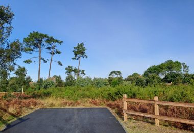 52803039  – Terrain à MOLIETS ET MAA