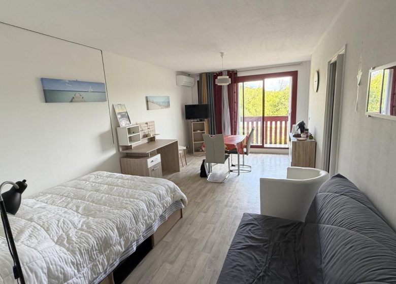 53155332  – Appartement – 1 pièces à DAX