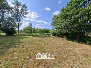53156607  – Terrain à OEYRELUY