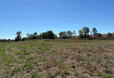 53159445  – Terrain à ST GEOURS D AURIBAT