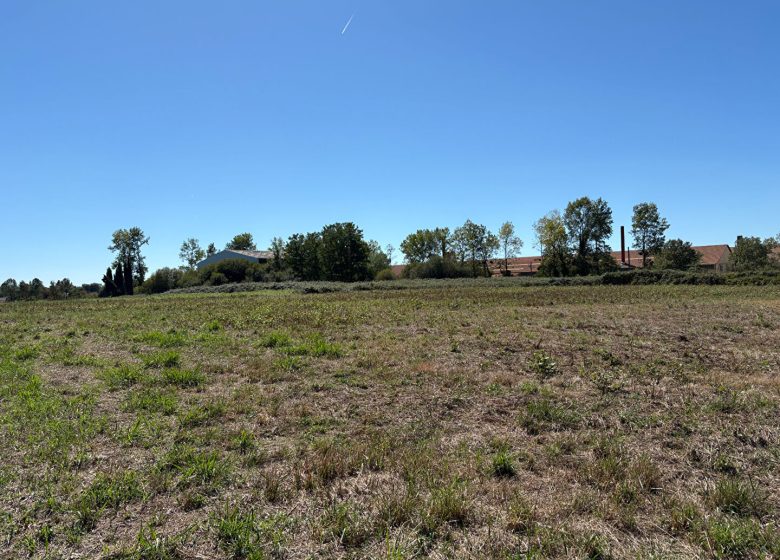 53159445  – Terrain à ST GEOURS D AURIBAT