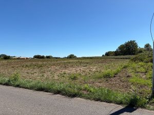 53159445  – Terrain à ST GEOURS D AURIBAT