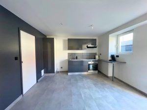 53159073  – Appartement – 2 pièces à HASPARREN