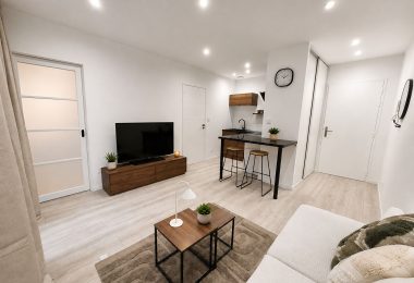53159484  – Appartement – 2 pièces à MONT DE MARSAN