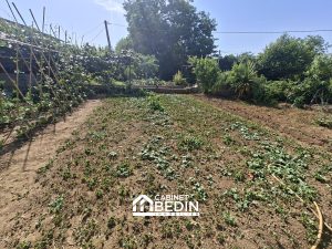 53118133  – Immeuble à NOUSSE