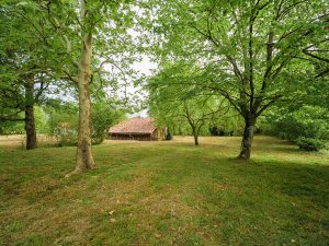 53159482  – Maison – 6 pièces à AIRE SUR L ADOUR