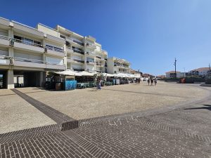53161839  – Appartement – 2 pièces à BISCARROSSE