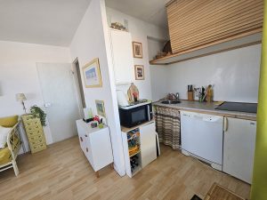 53161839  – Appartement – 2 pièces à BISCARROSSE