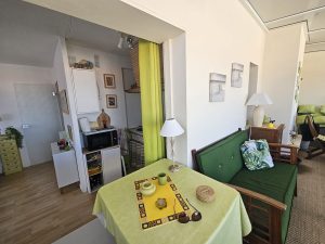 53161839  – Appartement – 2 pièces à BISCARROSSE