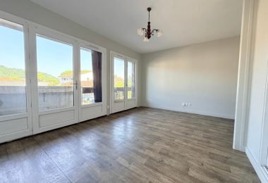 53162291  – Appartement – 3 pièces à AIRE SUR L ADOUR