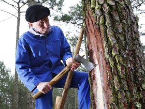Visite du Sentier des résiniers : visite spéciale vacances de la Toussaint