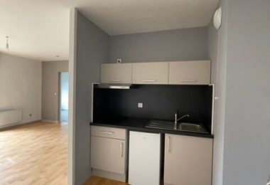 53165786  – Appartement – 2 pièces à MONT DE MARSAN