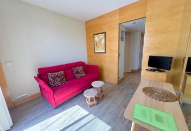 53167205  – Appartement – 1 pièces à SOORTS HOSSEGOR