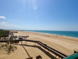 53167205  – Appartement – 1 pièces à SOORTS HOSSEGOR