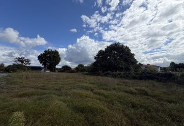 53168491  – Terrain à LEON