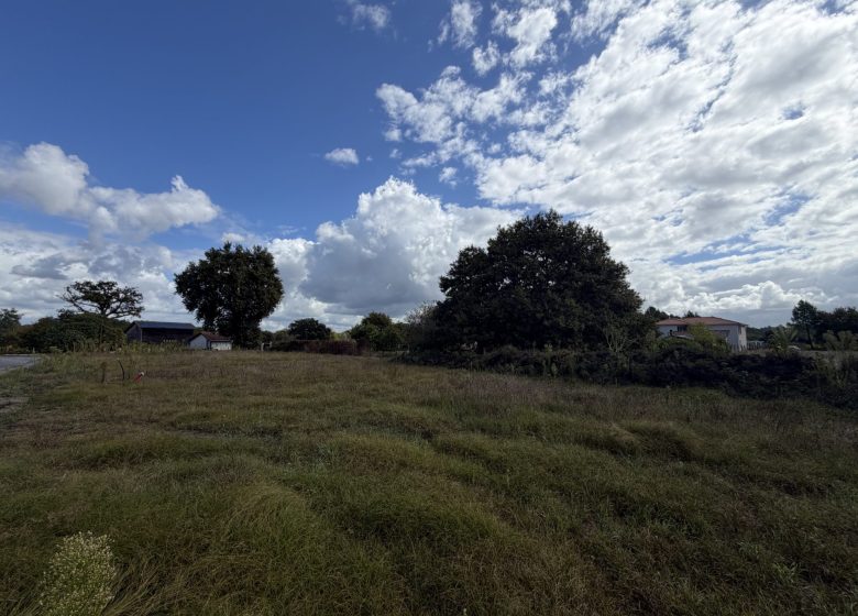 53168491  – Terrain à LEON