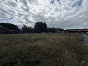 53168491  – Terrain à LEON