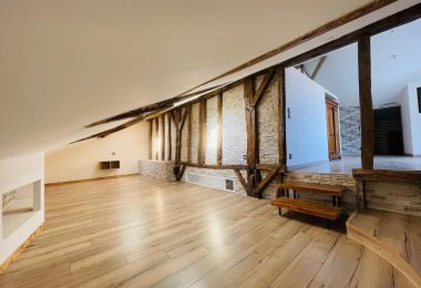 52783987  – Maison – 9 pièces à SAUVETERRE DE BEARN