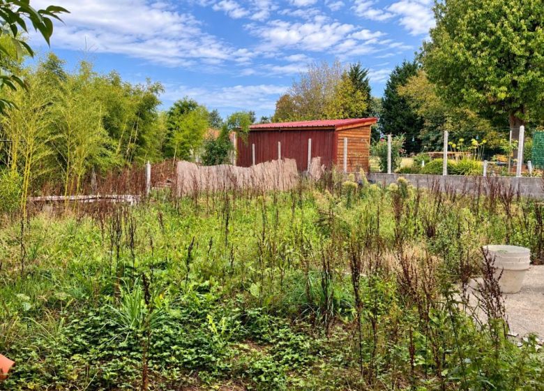 53172754  – Maison – 4 pièces à HABAS