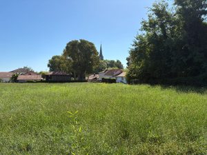 53173607  – Terrain à PONTONX SUR L ADOUR