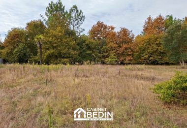 53173903  – Terrain à PARENTIS EN BORN
